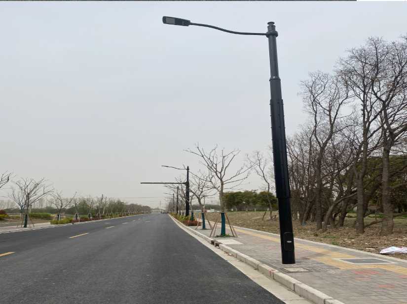 峨边彝族自治县上海综合杆 太阳能路灯工程